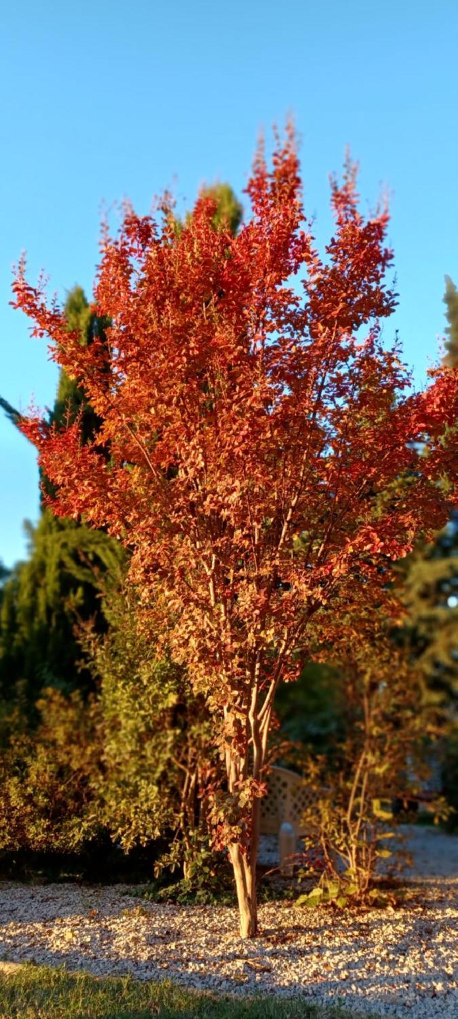 Le Gite Calluna Sablet Номер фото